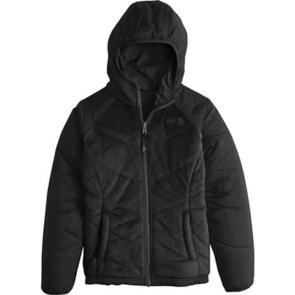 north face perseus